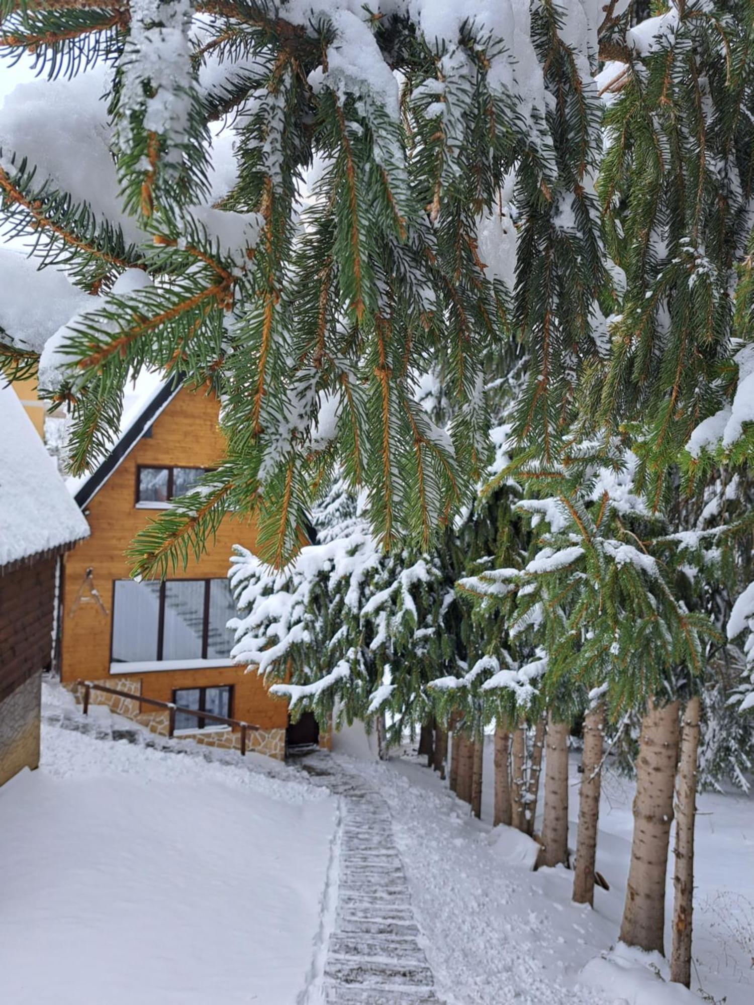 Villa Zagorka And Mountain Houses A, M, D Kopaonik Esterno foto